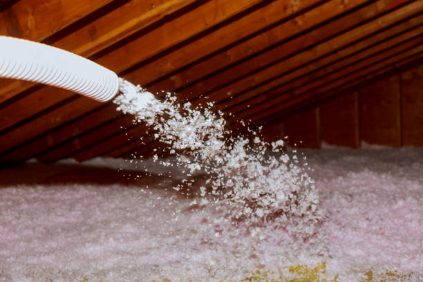 Best Eco-Friendly Insulation in Primera, TX