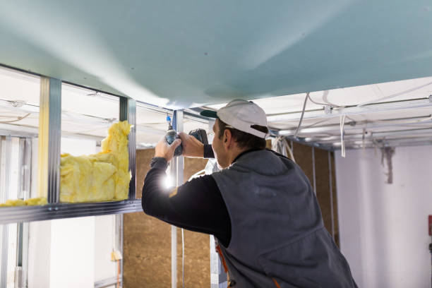 Best Specialized Insulation Services in Primera, TX