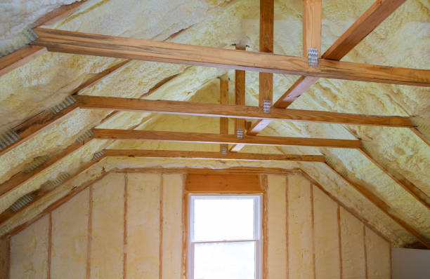 Best Fiberglass Insulation in Primera, TX