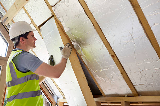 Best Geographic-Specific Insulation Services in Primera, TX