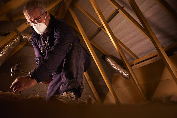 Best Insulation Maintenance and Repair in Primera, TX